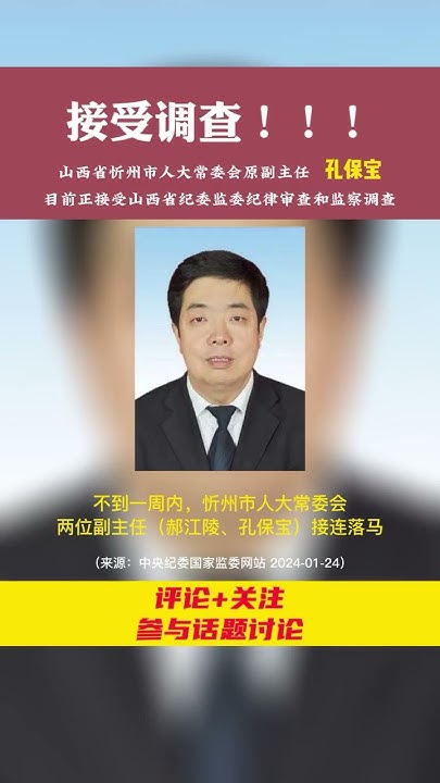 高质量的孔保宝的图片