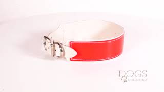 FieldKing Field Trial Dog Collar, Red-Orange