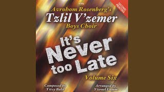 Video thumbnail of "Tzlil V'zemer Boys Choir - Shomer Yisroel"