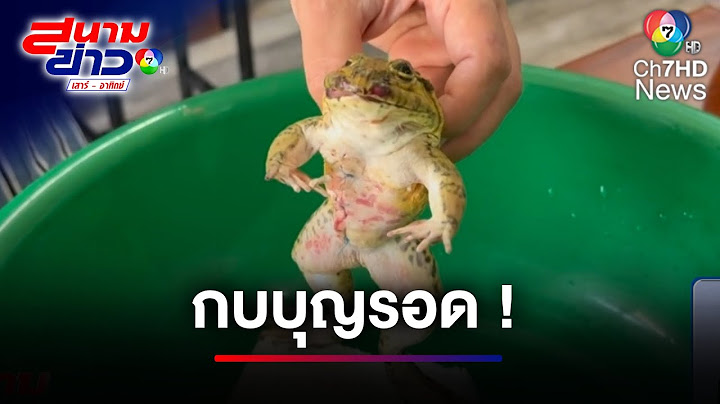 "กบ" หนังเหนียว ทุบหัว-ผ่าท้อง แต่ไม่ยอมตาย | สนามข่าวเสาร์-อาทิตย์