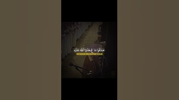 تلاوة خاشعة - محمد اللحيدان 🤍🌱 #القرآن_الكريم #اكسبلور #قرآن #explore #viralvideo