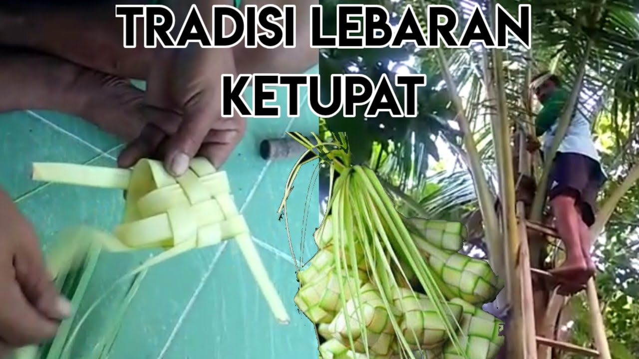 HARI RAYA KETUPAT CARA MEMBUAT KETUPAT DARI JANUR YouTube