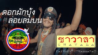 ดอกผักบุ้ง x ลอยลมบน - วงชาวาลา แสดงสด | ลูกหลานฅนคอมคลาสสิคV1