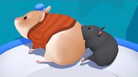 ‎‎Hamster Maze - All Levels Gameplay Android, iOS