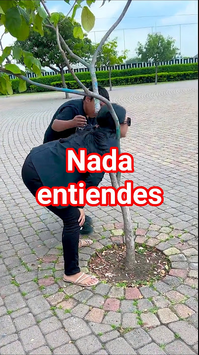 Nada entiendes #funny #comedy #shorts