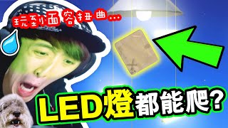 【💀來回地獄又爬山📦】難玩到面容扭曲... LED燈都能爬！？搞笑精華：GETTING OVER IT紙箱爬山版#2