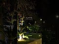 عمري ابتدا بتاريخ احبك