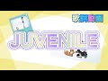 【歌詞動画】JUVENILE