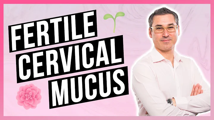 Improve your Cervical Mucus for Fertility