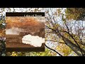 Lake Of Tears - Forever Autumn (Full Album)