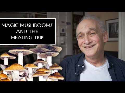 Video: Mushrooms-healers