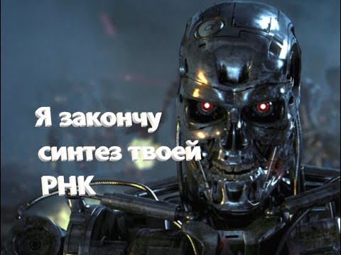 Как работают гены прокариот и эукариот? Структуры генов.