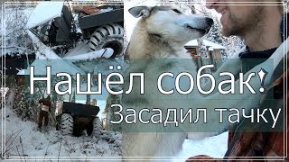 Нашлись собаки,засадил каракат!