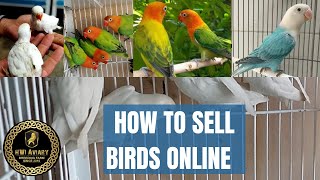 Most important tips for new fanciers | How to sell birds online | HWI Aviary screenshot 5