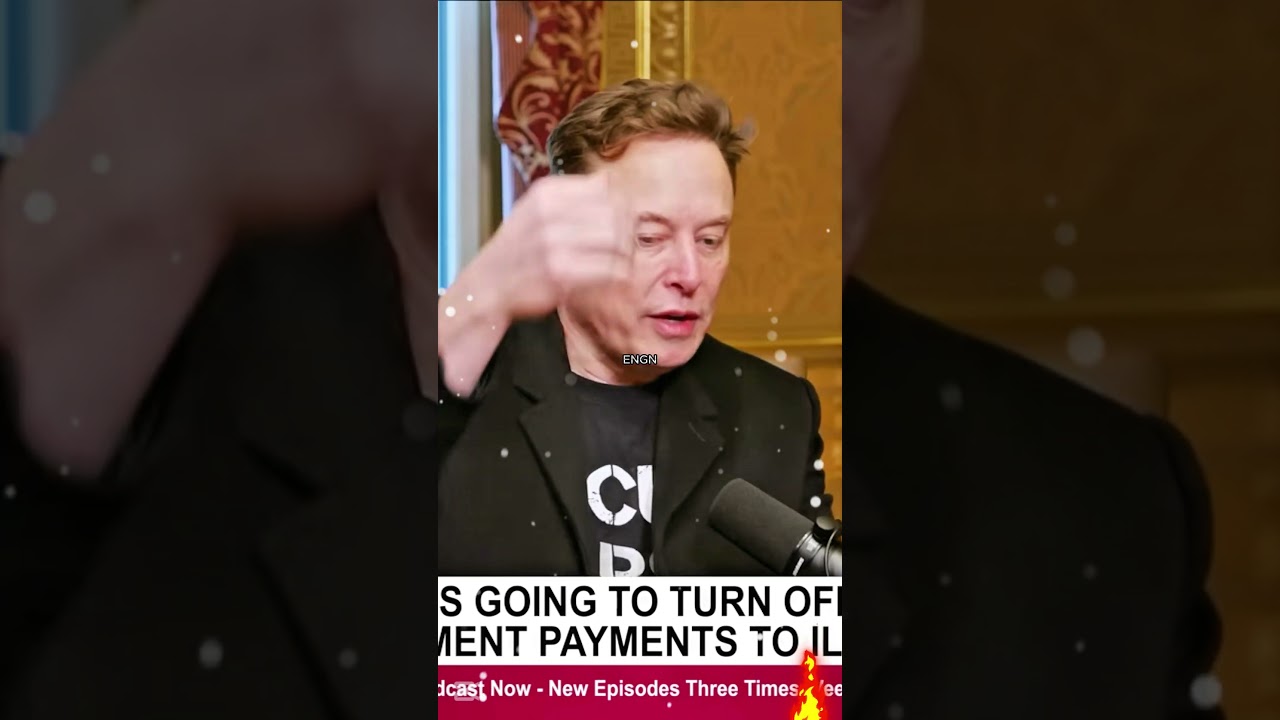 Elon Musk They hate me, doge is effective     