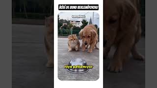 Dont Laugh At Your Neighbor...