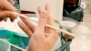 Как держать палочки для суши