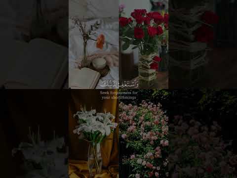 فاصبر إن وعد الله حق من سورة غافر بصوت الشيخ عبيدة موفق