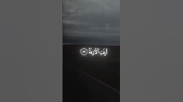 سورة النجم للشيخ محمد اللحيدان 🤍