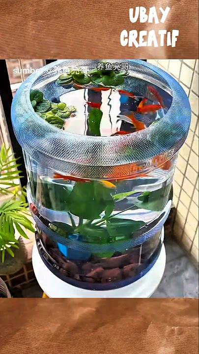 Aquarium dari galon bekas #idekreatifterbaru #diy #idekreatifdarigalon #viralvideo #shorts