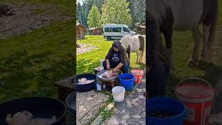 Organic Village Chicken🌿 #youtubeshorts #viral #fypシ #KöyTavuğu #OrganicChicken #FreeRangeChicken