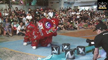 Hùng Nghĩa Đường: Múa lân Địa Bửu  - Ngày Hội Lân Sư Rồng Vũng Tàu 2019