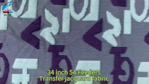 Chiyang brand circular knitting machine: Transfer Jacquard fabric