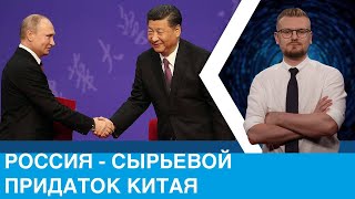 Россия - вассал Китая! Пекин поглощает ресурсы Москвы.