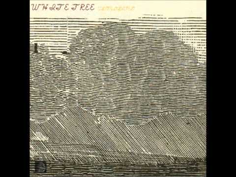 Whitetree — WhiteTree-Mercury Sands