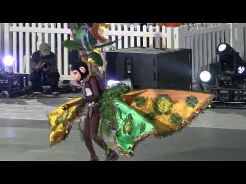 Toronto Caribbean Carnival Caribana King Queen Showcase 2025 Parade Of Junior Winners