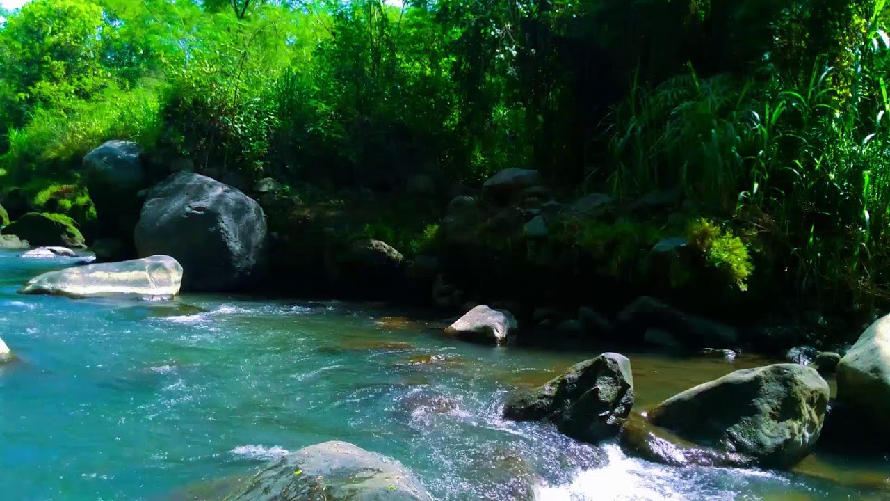 Relaxing River Sound Peaceful Forest Improves Mood Relieves Stress Helps Sleep Aid