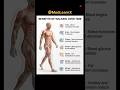 🚶‍♂️ 60 Minutes That Transform Your Body &amp; Mind 💥 #trending #shortsfeed #shorts #walking #benefits