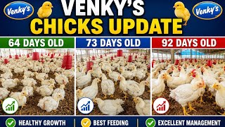 [Vlog90/365]64 Days | 73 Days | 92 Days Old Venky’s Chicks Growth Update | Layer Farm Daily Report 🐔