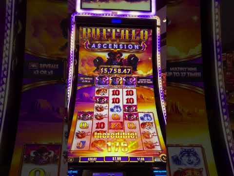 Tattoo jogos de casino .
