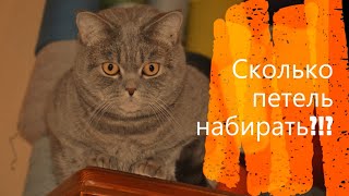 Сколько петель набирать?! Я хочу вязать!