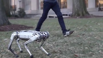 Backflipping MIT Mini Cheetah Boston Dynamics