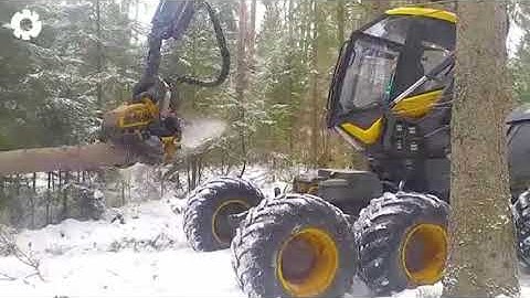 Most Big Chainsaw Cutting Tree Machines Biggest Heavy Machinery Machines Part 128