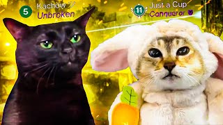 Duo Flawless Vault Of Gl Raid Episode Heresy