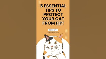 Essential FIP 5 Tips Every Cat Owner Must Know! 🐱 #shorts #cathealth #catlovers #cat #catcare