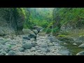 Tranquil Stream Over Rocks with Nature Ambience — Focus, Sleep &amp; Inner Calm