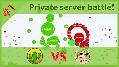 Agar.io - Private server battle #1: Cacti Fin VS Hay Stack!