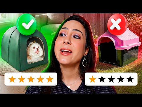 NÃO COMPRE UMA CAMA pro seu cão antes de ver esse vídeo!