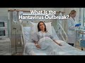 !!!Hantavirus major outbreak in cruise ship