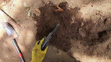 LIVE DIG RELIC ACTION!! Simplex+ hits deep button in stream bed.