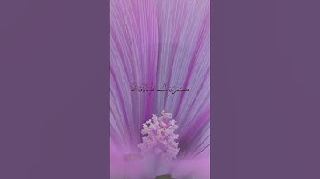 سورة النحل 112