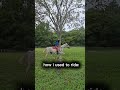 #fypage #fypp #fypシ゚viral #fyp #horse #love #edit