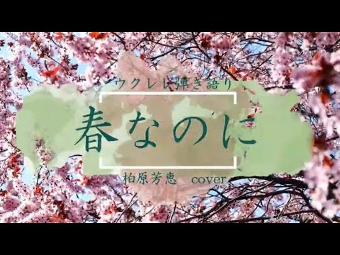 【ウクレレ弾き語り】春なのに　柏原芳恵 ショートver.歌詞付き表示 “しげろチャンネル『小さなウクレレ演奏会』”