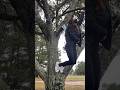 Hanging Wedgie Girl Wedgie Atomic Wedgieprank Lol Wedgies Ripping Funnyfails Foryou Hanging Wedgie Girl Wedgie Atomic Wedgieprank Lol Wedgies Ripping Funnyfails Foryou