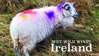 Wet Wild Windy Ireland