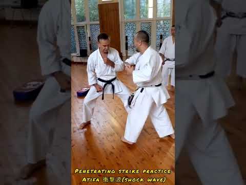 Atifa 衝撃波 Shock Wave Penetrating Punching Mawashi Dzuki Training 上 地 流 唐 手 道 Uechi Ryu Karate 